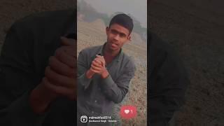 gulab jaisan khilel Baru #dance #ikashrockstardancer #youtubeshorts #youtube #viral #shorts