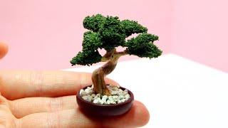 Miniature bonsai tree