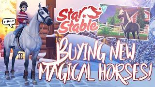 Buying the NEW MAGICAL horses & MORE! | Star Stable Updates