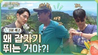 9화 예고ㅣ해진의 러너 본능 발동! 단체 지리산 러닝ㅣ삼시세끼 Light