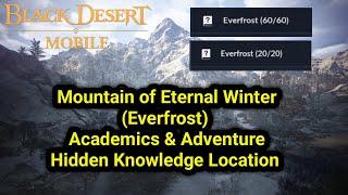 Everfrost ️ | Academics & Adventure Hidden Knowledge Location | Black Desert Mobile