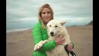 Walking with WOLVES - Rescued Wolfdogs