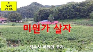 전.743평.생산관리지역 매가 평당20만원(분할가능)정남향.산에 접한 토지