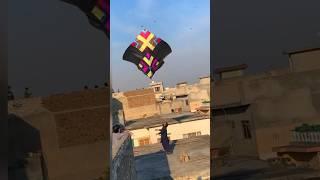 Kite Flying Video Basant Festival Pakistan #basant2024 #kiteflying #pakistan #india