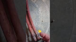 Replacing a Hot Water Tank Element! #HomesteadRepairs #hotwatertankelement