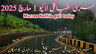 murree live today | murree Nathia gali snowfall update | #murree weather today #2025