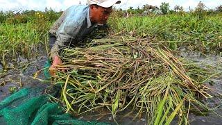 Mưu Sinh Bằng Nghề Ủ LƯƠN