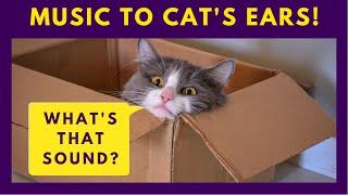 12 Sounds Cats Love - Purrfect Sounds that Cats React to 