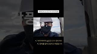 별난 CCTV 설치 장소, 겁없이 올라왔는데..