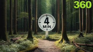 4 Minute | 360 Forest Walk Timer 8K