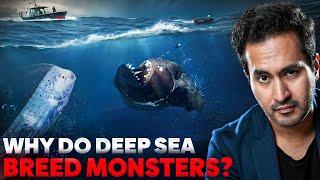 Mystery of the Deep Sea