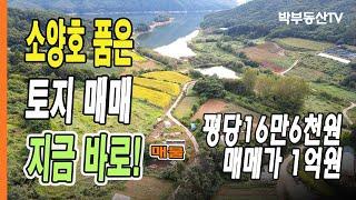 [4052] 소양호 품은 토지 매매 지금 바로 ! - 박부동산TV