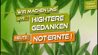 Heute: Not-Ernte! - Montage sind Downer?! Wir machen uns live Hightere Gedanken!