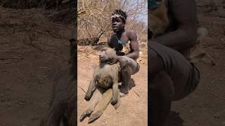 Incredible,,, hadzabe tribe Hunting Baboon Morning