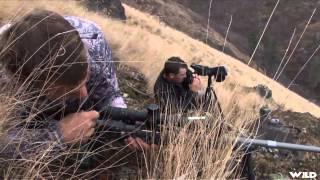 Long Range Pursuit - Public Land Mulies South of The Seven Devils