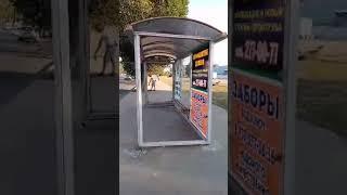 Ходит ходуном: остановка общественного транспорта возмутила жителей Самары