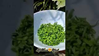 Piaja pitha #youtube #explore with darshan Randhir #katakibhaina#basudevvlogs #dil se foodies