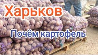 Харьков /Ярмарка/Картофель на зиму