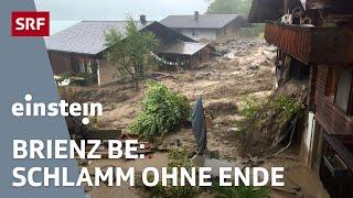 Murgang trifft Brienz BE: Wie weiter nach der Unwetterkatastrophe? | Einstein | SRF Wissen