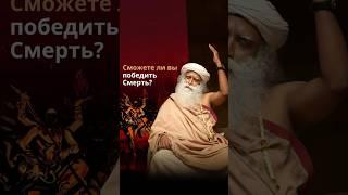 Как прожить так, чтобы встретить смерть без страха?