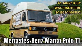 40 Jahre Mercedes-Benz Marco Polo: Die Camping-Ikone feiert | die Fakten