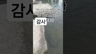 감사  #나훈아#트로트#2020나훈아신곡아홉이야기