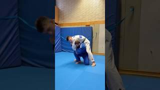 ️Modified version of the Ippon Seoi Nage throw. #ipponseoinage #judothrow #judotechnique #bjj