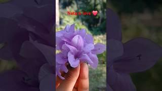 Nature love ️ #viralvideos #flowerworld #viralvideos #worldflora #youtubeshorts