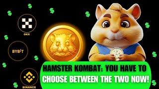  Profit Per Hour vs Coin Balance: Hamster Kombat - Which One Is Better?