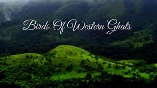 Birds of Western Ghats |Endemic Birds of Western Ghats | Nature