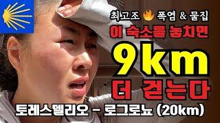 DAY14-1. 성수기 순례길 숙소 알베르게 예약 전쟁 | 물집 잡힌 발로 순례길 걷는 방법 | 토레스 델 리오 - 비아나 - 로그로뇨 (20km)