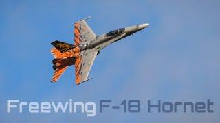 Freewing F-18 with Beautiful Custom Livery! ️ HD 60fps