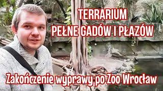 TERRARIUM WE WROCŁAWSKIM ZOO | Ostatnia Odsłona Wycieczki z Damianem