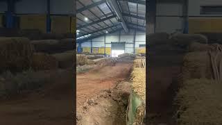 Sx Worx Sheffield (5 Year old) sending it to the moon 🫣