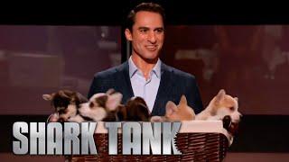 Gallant Gets a Deal | Shark Tank US | Shark Tank Global