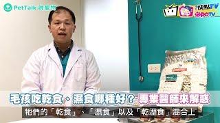 《萌寵愛健康》毛孩吃乾食、濕食哪種好？專業醫師來解惑