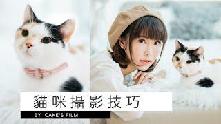 (Eng Sub) Cat Photo Challenge | Cake's Film