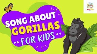 Song About Gorillas | Wildlife Protection| Kiwi kids media For Kids