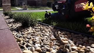 The GREENEST St.Augustine Lawn In South Texas