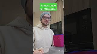 Алиса знает английский?  #английский #алиса #английскийязык