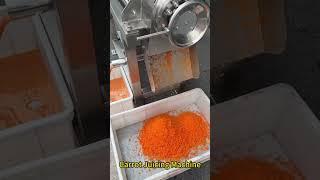 Carrot Juice Extractor