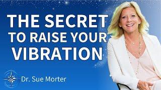 The Secret to Raising Your Vibration (and What Not To Do) |  Dr. Sue Morter