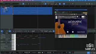 WALKTHROUGH ACOUSTIC SERIES NYLON GUITAR