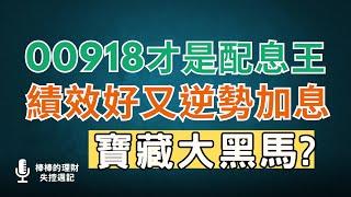 00918才是配息王，年化配息率13%，績效好、在降息風潮中逆勢「加息」，是高股息大黑馬？適合存股族嗎？！~CC中文字幕