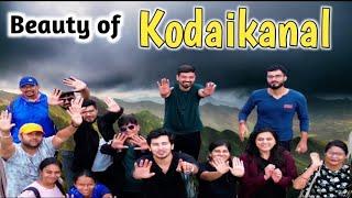 Exploring Dolphin’s Nose in Kodaikanal, Tamilnadu | Breathtaking Views & Adventure