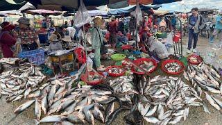 Cambodian Fish Market Tours In The Morning - Daily Activities Of Khmer People Selling Fish & More