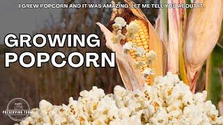 Growing Popcorn