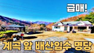 147) 4500만원 인하! 평생 살려고 지은 손 볼곳 없는 시골집 배산임수 전원주택 #시골집 #촌집 #전원주택 #세컨하우스 #귀농귀촌 #5도2촌 #자연인 #등산 #급매 #계곡