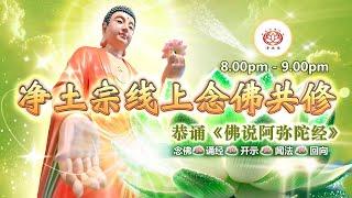 【同步】净土宗线上念佛共修暨法师开示【第1924天】+ 开示视频《佛号真理》24-06-2025 Online Session（晚上8pm-9pm (GMT+8))【打开CC字幕】