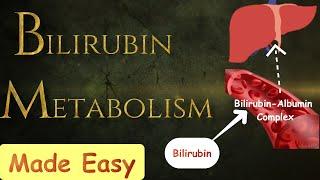 Bilirubin metabolism-  MADE SIMPLE